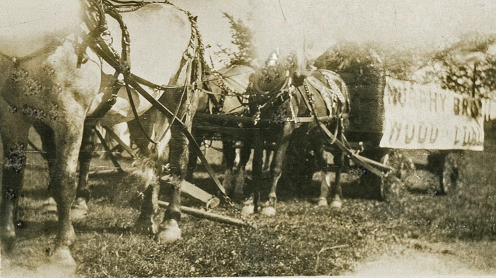 Murphy's Brothers Wagon